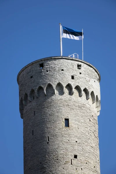 Wysoki Hermann Wieża Zamku Toompea Wzgórza Toompea Tallinn Estonia — Zdjęcie stockowe