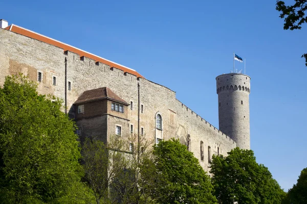 Tall Hermann Una Torre Del Castillo Toompea Colina Toompea Tallin —  Fotos de Stock