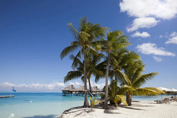 Ostrov Palmami Malé Domy Vodě Oceánu — Stock fotografie