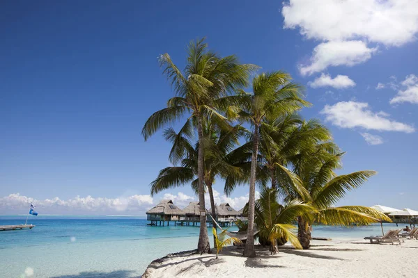 Med Palmer Och Små Hus Vatten Havet — Stockfoto