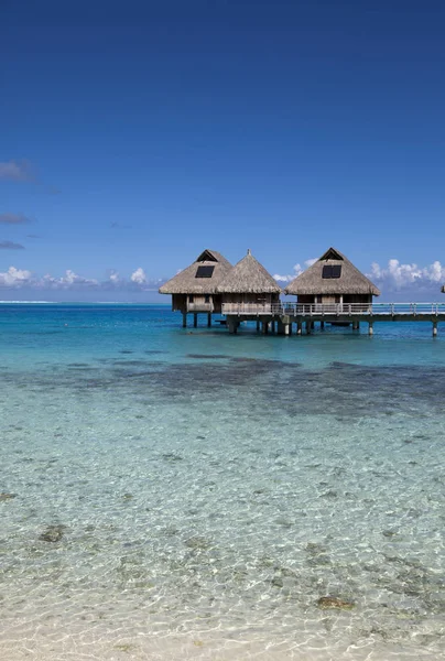 Trä Gångvägar Över Vattnet Det Blå Tropiska Havet Till Autentiska — Stockfoto