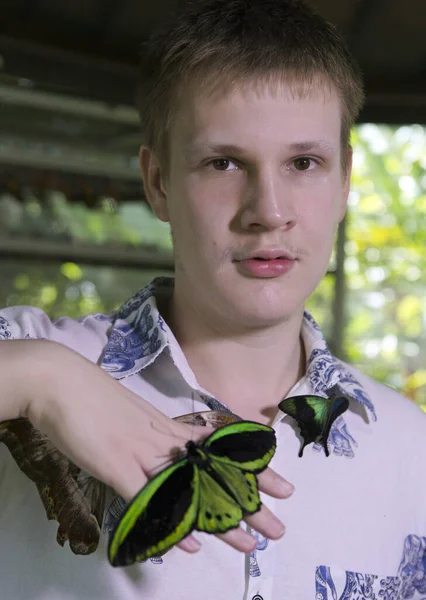 Fiatal Férfi Egy Pillangó Parkban Egy Nagy Trópusi Pillangó — Stock Fotó