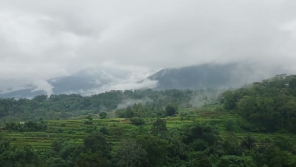 Nebbia sorge da risaie situate terrazze. Nuvole di pioggia si muovono sulle cime delle montagne. Stagione delle piogge. Bali. Indonesia. Time lapse Dolly zoom — Video Stock