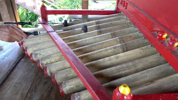 Rindik Instrumento Musical Balinês Músico Tocando Bali Instrumento Musical Bambu — Vídeo de Stock