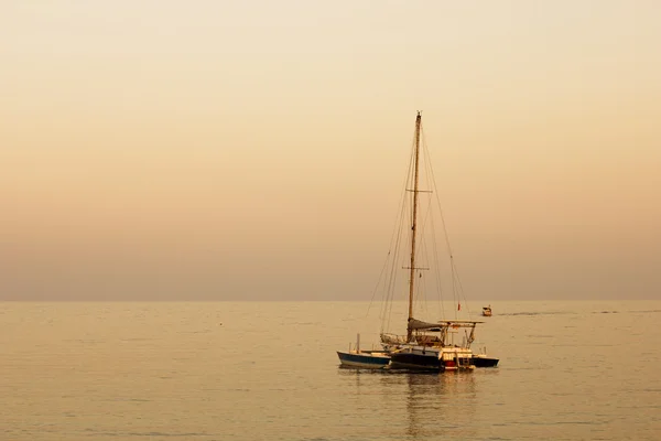 Vacances d'été SeaTravel — Photo