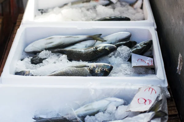Zee vismarkt — Stockfoto