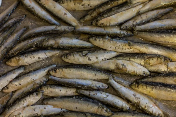 Frutos do mar frescos de sardinha — Fotografia de Stock