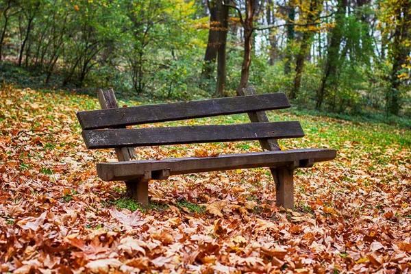 Temporada de outono banco de parque vazio — Fotografia de Stock