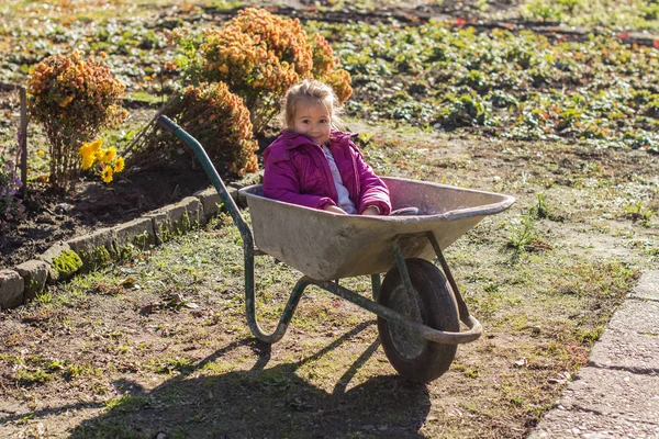 El arabası içinde oturan mutlu küçük kız