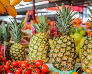 Taze ananas egzotik meyve 