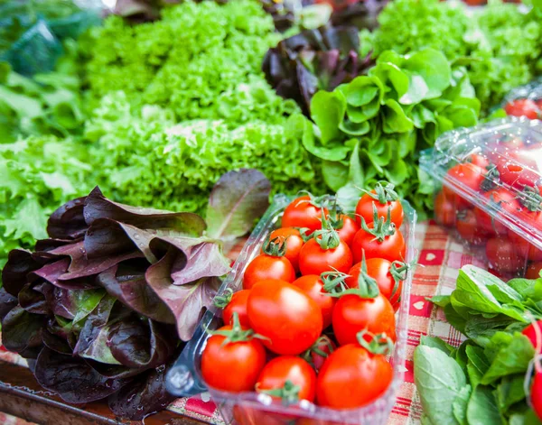 Свіжий здоровий овочевий ринок — стокове фото