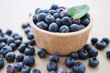  taze yaban mersini meyve antioksidan gıda