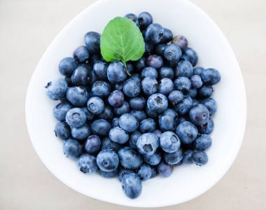  taze yaban mersini meyve antioksidan gıda