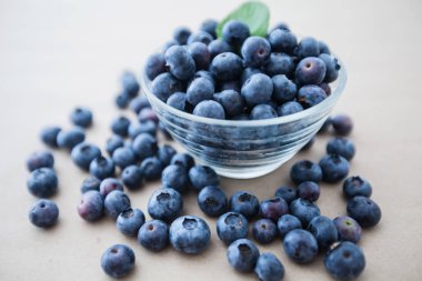  taze yaban mersini meyve antioksidan gıda