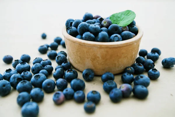  taze yaban mersini meyve antioksidan gıda