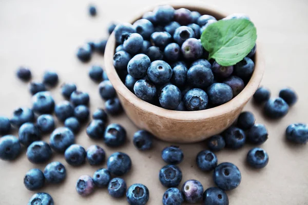  taze yaban mersini meyve antioksidan gıda