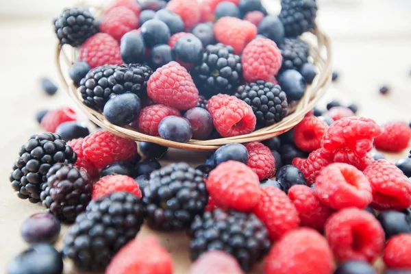 Alimentos antioxidantes frescos framboesa mirtilo amora — Fotografia de Stock