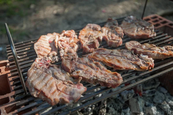 Výborné grilované maso na grilu — Stock fotografie