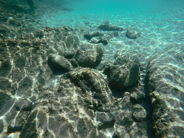 Podvodní sea scene — Stock fotografie