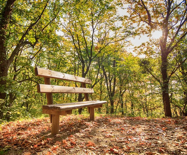 坐在秋天的森林长椅 — 图库照片
