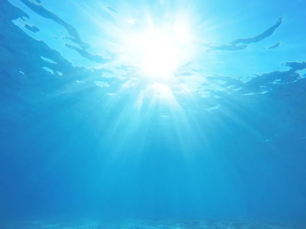 水中の海のシーン — ストック写真
