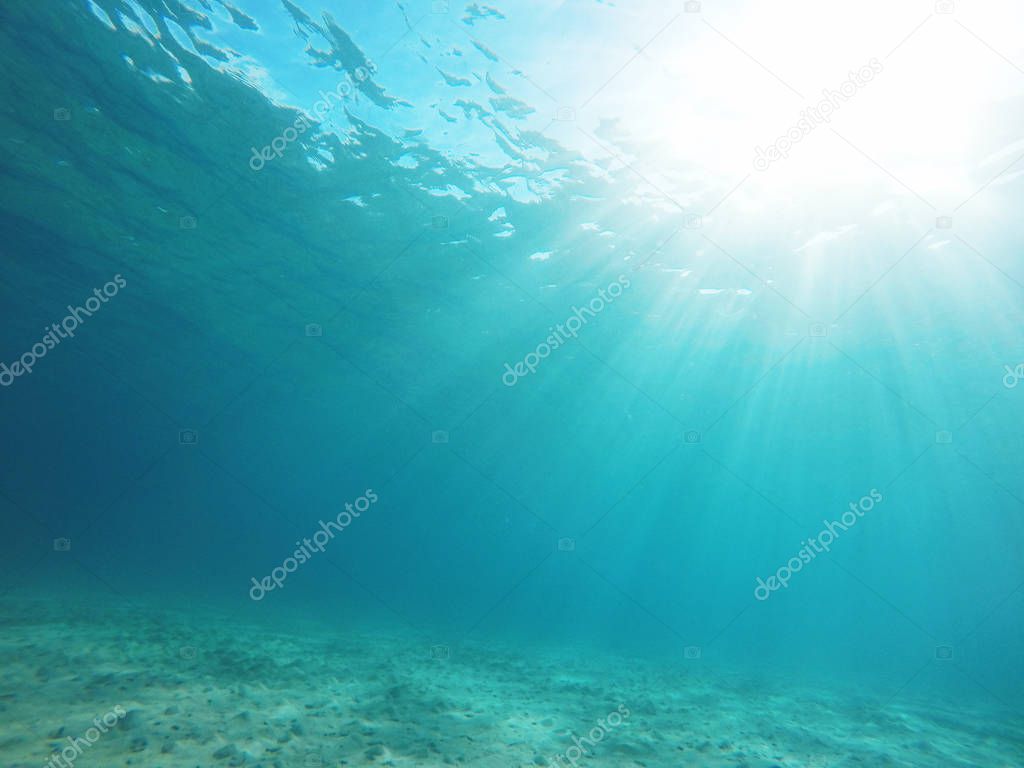 Underwater sea scene 