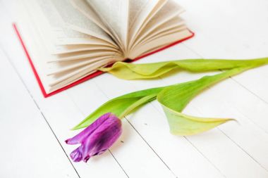 kitap ve çiçek