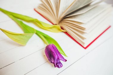 kitap ve çiçek