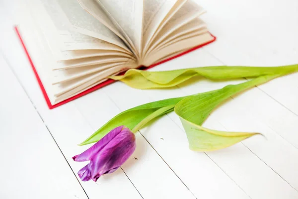Книга и цветок — стоковое фото
