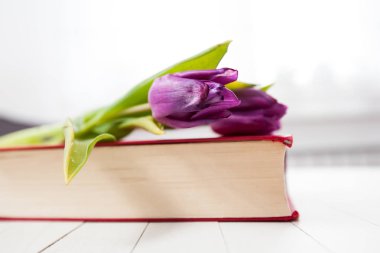 Lale çiçek kitap
