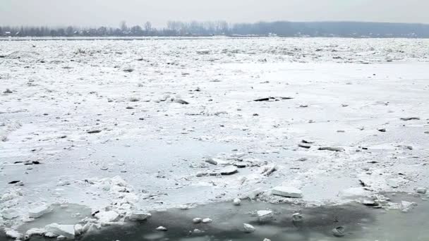 Winter Gefrorene Donau — Stockvideo