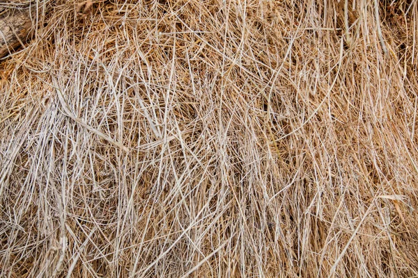 Haystack Texture Background Rural Nature Concept — Stock Photo, Image