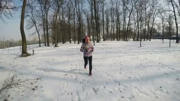 Fitness Femeie Tânără Exerciții Aer Liber Sezonul Iarnă Activitate Sănătoasă — Videoclip de stoc