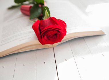 Rose ve kitap romantizm aşk 