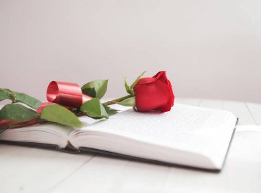Rose ve kitap romantizm aşk 