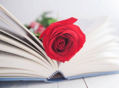 Rose ve kitap romantizm aşk 