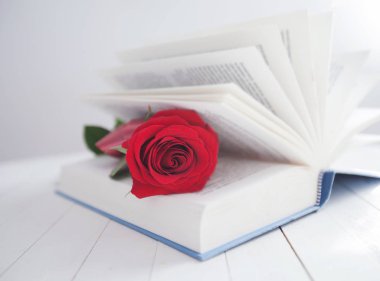Rose ve kitap romantizm aşk 