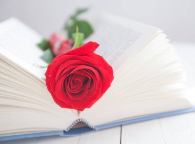 Rose ve kitap romantizm aşk 
