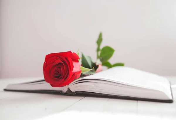 Rose and Book romance love
