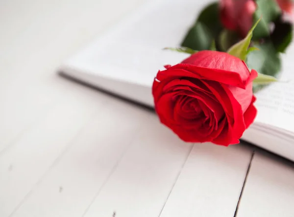 Τριαντάφυλλο και ρομαντική αγάπη βιβλίο — Φωτογραφία Αρχείου
