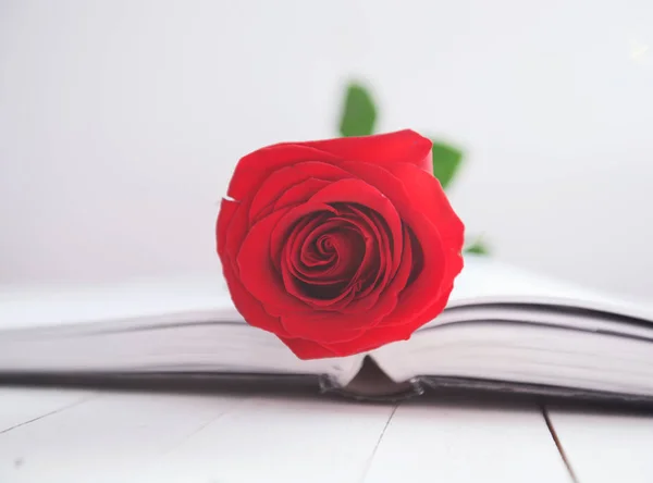 Rose och boken romantik kärlek — Stockfoto