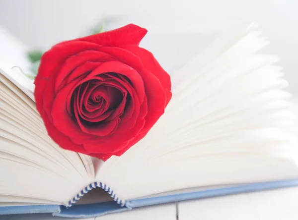 Rose en boek romantiek liefde — Stockfoto