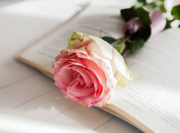 Rose och boken romantik kärlek — Stockfoto