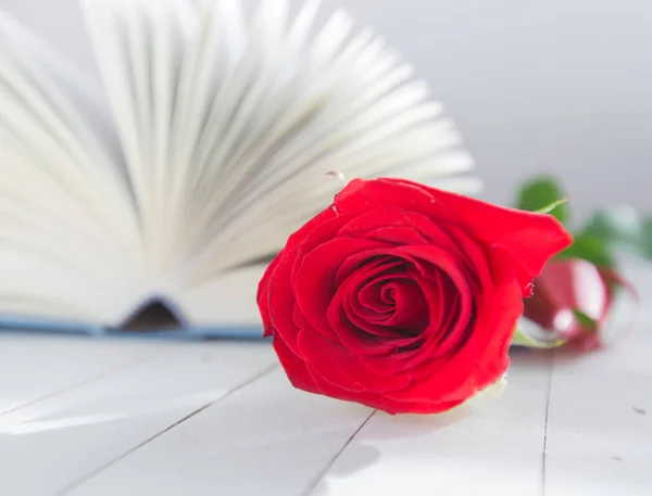 Rose en boek romantiek liefde — Stockfoto