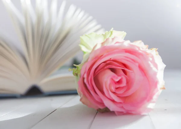 Rose och boken romantik kärlek — Stockfoto