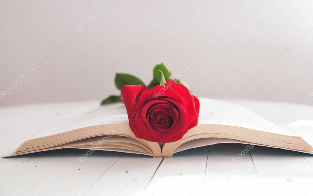 Rose and Book romance love 