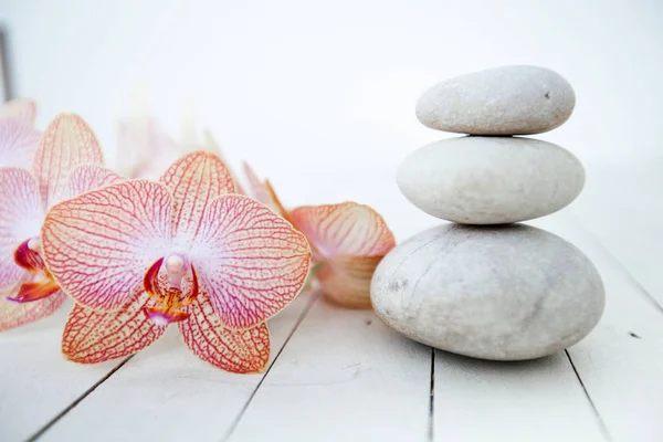 Zen Meditation Spa Lifestyle — Stock Photo, Image