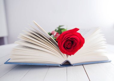 Rose ve kitap romantizm aşk 