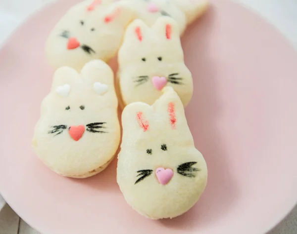 Cookies Macarons Sweet Biscuit — Stock Photo, Image