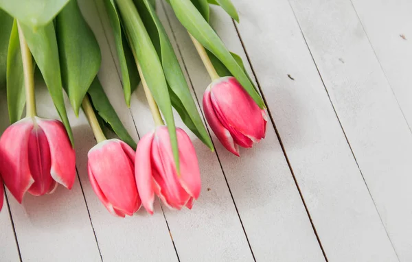 Våren kärlek romantik Tulip — Stockfoto